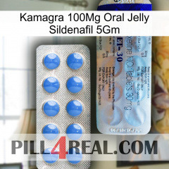 Kamagra 100Mg Oral Jelly Sildenafil 5Gm 39